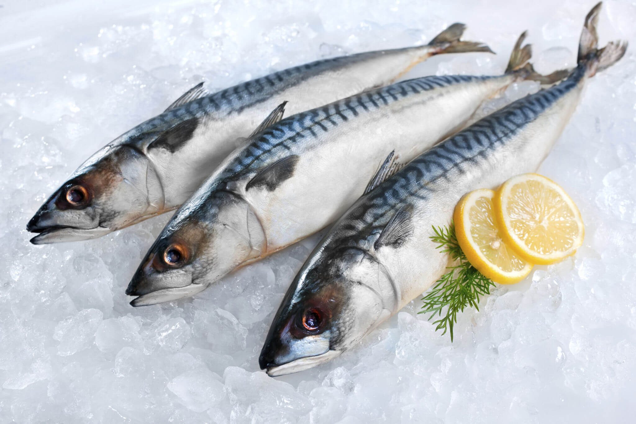 Health Benefits Of Consuming Mackerel